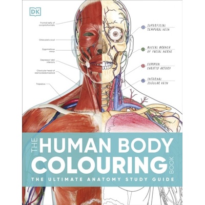 The Human Body Colouring Book - DK