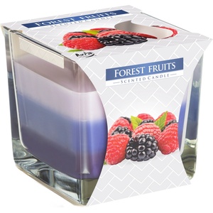 BISPOL Ароматна свещ Bispol Aura - Forest Fruits, 170 g (snk80-13)