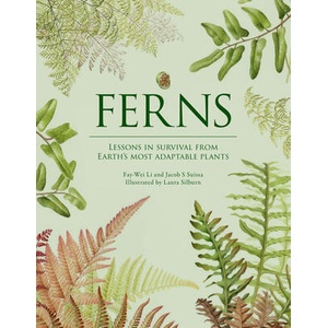 Ferns | Jacob S Suissa (ISBN: 9781958417850)