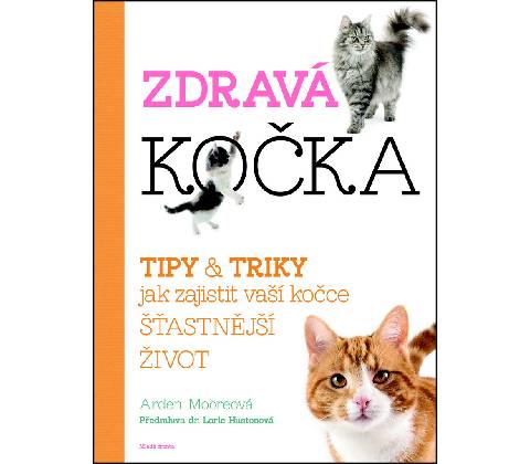Zdravá kočka