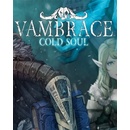 Hry na PC Vambrace Cold Soul