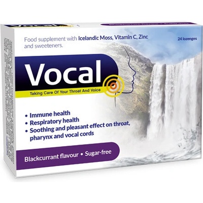 VOCAL pastilky s príchuťou čiernych ríbezlí bez cukru 24 ks