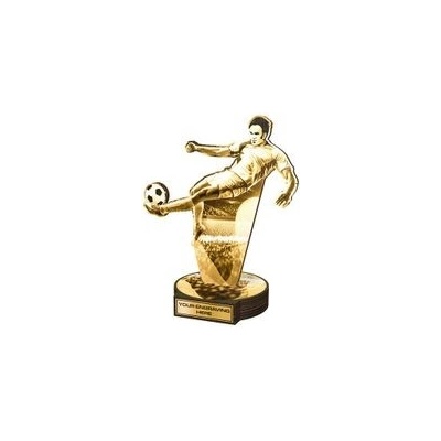 Poháry Bauer Dřevěná plaketa RWR107 Fotbal