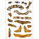 Image 1 of Тигър модел за сглобяване