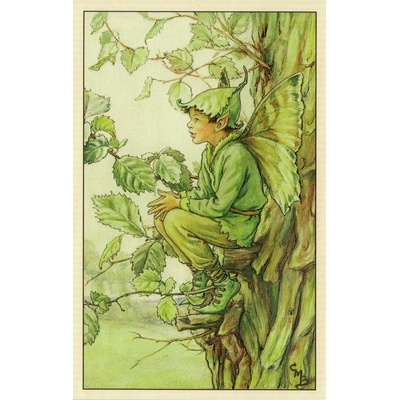 Pohlednice Květinová víla 42