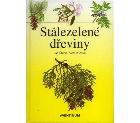 Stálezelené dřeviny