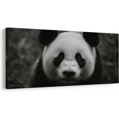 Obraz čiernobiela panda s úsmevom