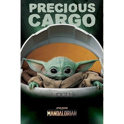 Pyramid International Star Wars: Mandalorian - Drahocenný náklad