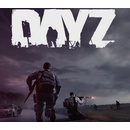 DAYZ