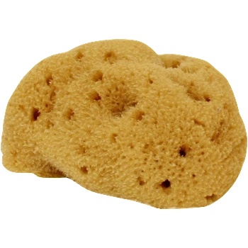 Cose della Natura Копринена гъба - Малък, 5-6 г