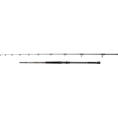 Penn Regiment IV Uptide 3,04 m 70-300 g 2 Díly