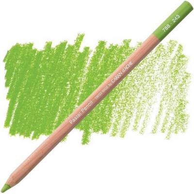 Caran d´Ache suchý pastel v tužce 243 light olive