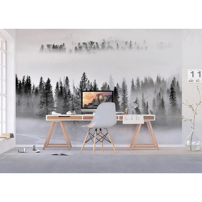 AG design FTNXXL-3008 vliesová fototapeta Foggy Morning rozměry 360 x 270 cm