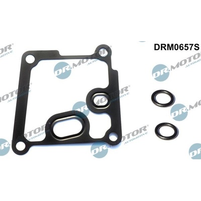 Sada tesnení drieku ventilu Dr.Motor Automotive DRM0582S