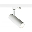 RENDL R13883