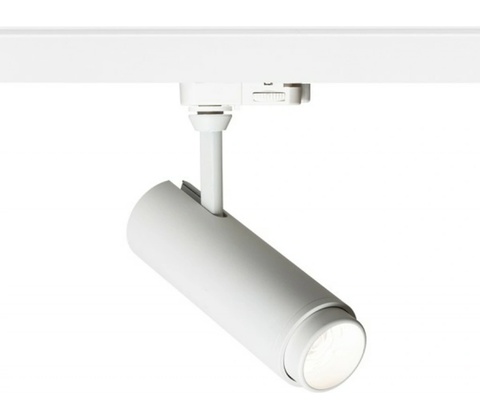 RENDL R13883