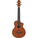 Ibanez UEWT 5