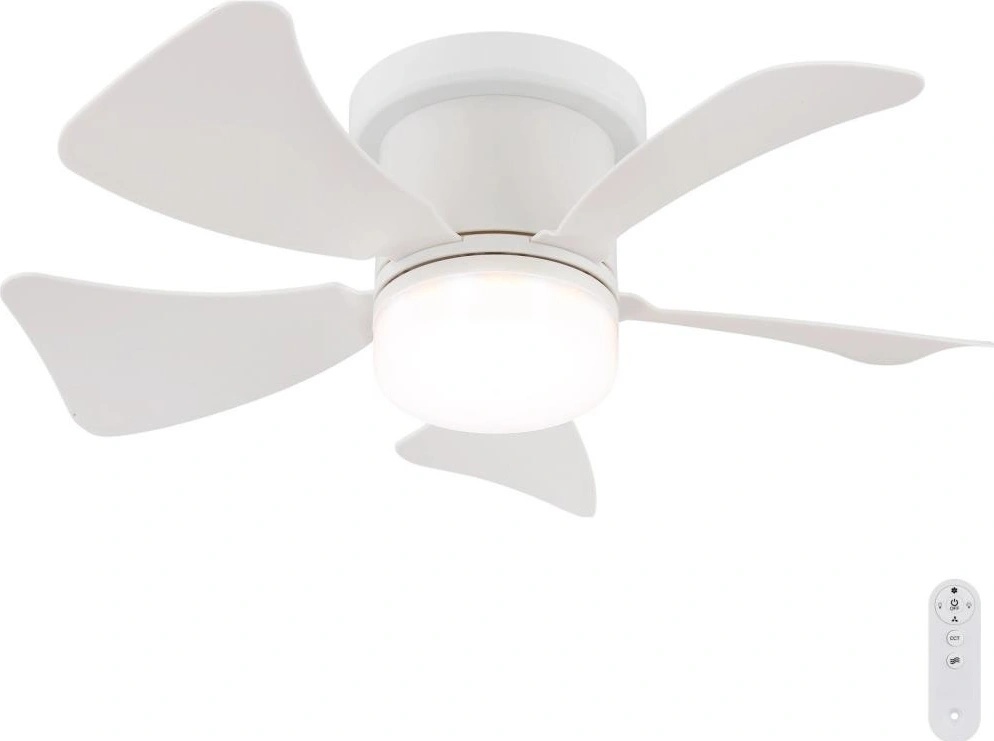 Globo 03609W