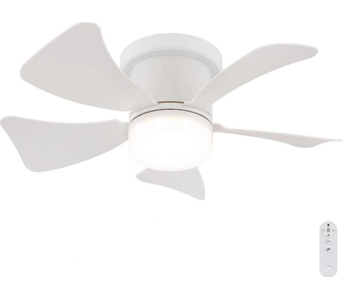 Globo 03609W