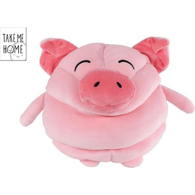 Take Me Home prase 22 cm