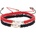 Nefertitis NF38080