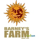 Barney's Farm Gorilla Glue Auto semena neobsahují THC 5 ks