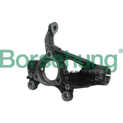BOR-B18509