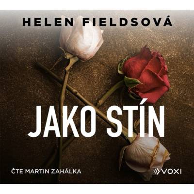 Jako stín (audiokniha)