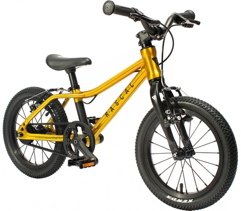 Rascal 16 2023