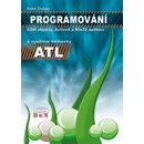 Programování COM objektů ActiveX a Win32 aplikací Radek Chalupa