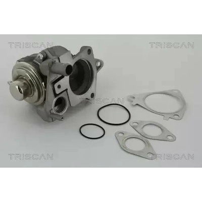 TRISCAN AGR ventil TRI 8813 28019