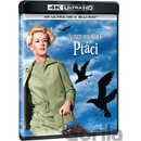 Ptáci BD
