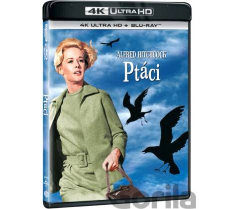 Ptáci BD