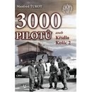 3 000 pilotů