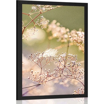 Plakát zátiší z květin - 40x60 no frame