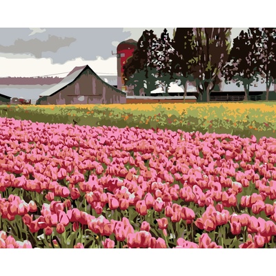 ZUTY Maľovanie podľa čísel RUŽOVÉ TULIPÁNY NA LÚKE DENNIS FRATES Rámovanie bez rámu a bez vypnutia plátna Rozmer 80 x 100 cm