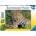 Ravensburger - Puzzle Exotic Animal: Leopard - 100 piese