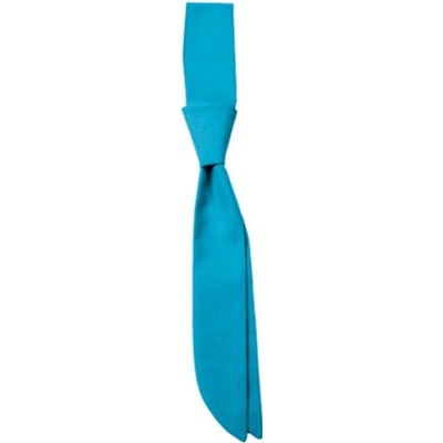 Cg Workwear 00150-01 Turquoise