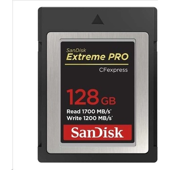 SanDisk 128GB SDCFE-128G-GN4NN