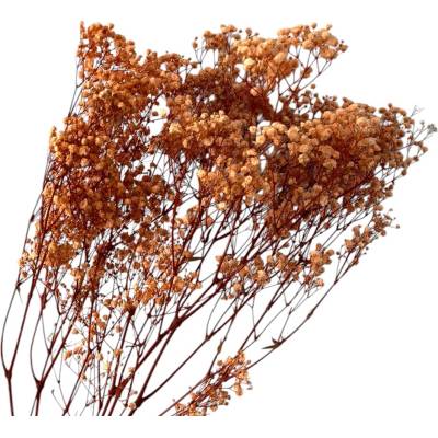 FLOWERIO Stabilizovaná Gypsophila - Nevestin závoj 140g - marhuľová