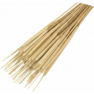 reed spadix krémový, cena za 50ks