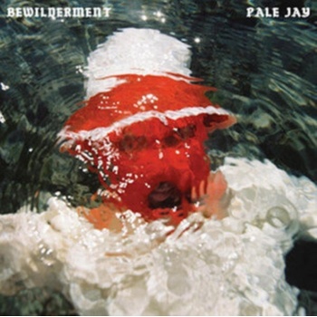 PALE JA - BEWILDERMENT CD