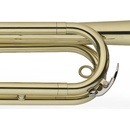 Levante LV-FS4305