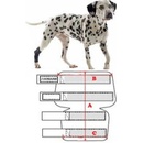 Kruuse Chránič hlezna Rehab XS