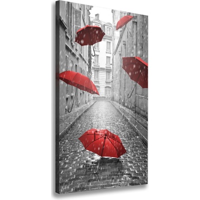 Vertikálny foto obraz na plátne Dáždnik Francúzsko 50x100 cm