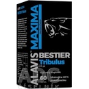 MAXIMA bestier Tribulus 60 kapslí