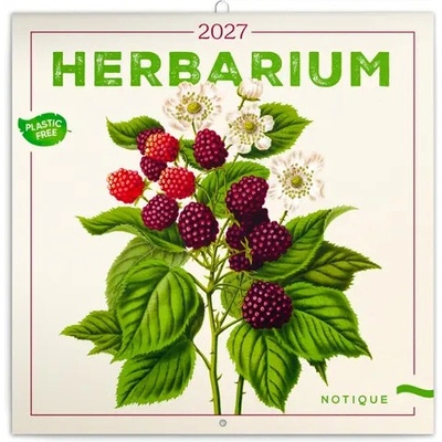 NOTIQUE Herbář / Poznámkový / 30 x 30 cm / Plastic Free 2027
