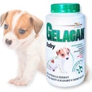 Vitamíny a doplnky stravy pre psov Gelacan PLUS BABY 1 kg, ŠTĚŇATA, BŘEZÍ A KOJÍCÍ FENY