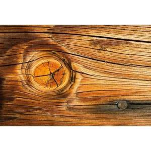 DIMEX ART Флизелинов фототапет дървен възел 375 x 250 см