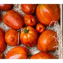 Paradajka Tigerella - Solanum lycopersicum - semená paradajky - 6 ks